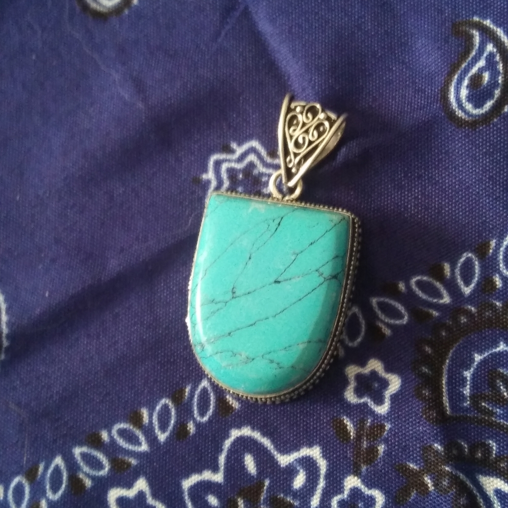 FINAL PRICE DROP! Fabulous Turquoise Colored Pendant